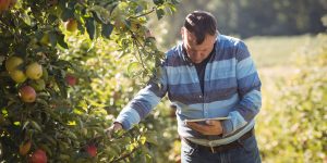 Fruit center Maribor, 2022 Open Day: Improving the efficiency of orchard management using modern technologies