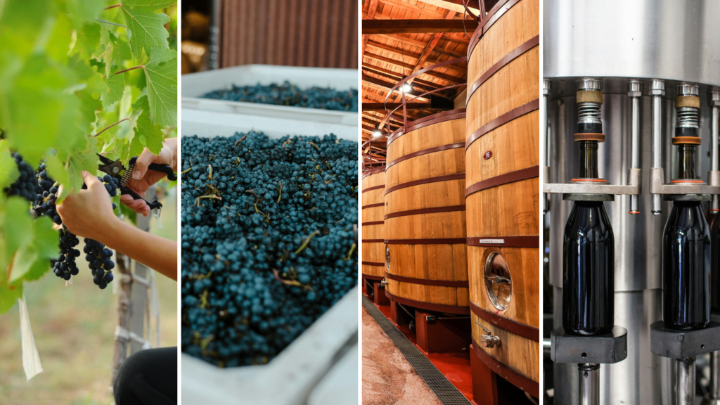 WiTWINtake – Smarter Wine Production, From Vineyard to Bottle