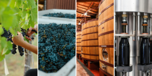 WiTWINtake – Smarter Wine Production, From Vineyard to Bottle
